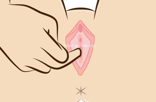 カップルにおすすめの性感マッサージのやり方４　指を入れて膣口をほぐしている画像