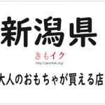【新潟県の大人のおもちゃ店14店舗】アダルトグッズを安心安全最安値で買うならココ！