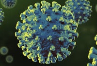 セックスで濃厚感染する新型コロナウイルス